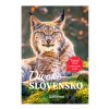 Divoké Slovensko