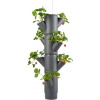 Gusta Garden Sissi Strawberry závesný samozavlažovací kvetináč 4 poschodia, antracit GG-101538