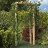 Pergola drevo VidaXL oblúk 210 cm
