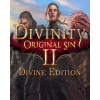 ESD GAMES ESD Divinity Original Sin 2 Divine Edition