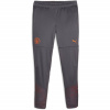Manchester City Puma Strong Grey 979364