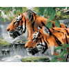 ZUTY Maľovanie podľa čísel - STRIEHNUCI TIGRI PRI RIEKE (HOWARD ROBINSON) Rámovanie: vypnuté plátno na rám, Rozmer: 40x50 cm