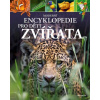Zvířata - Michael Leach
