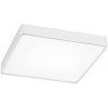 Argon Ontario stropné svietidlo 1x18.5 W biela 3572