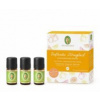 Darčekový set - Citrusové vône – Primavera Objem: 3 x 5 ml
