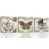 Set 3 Wall Picture Retro Butterfly Butterfly 60x20 (Set 3 Wall Picture Retro Butterfly Butterfly 60x20)
