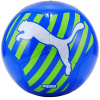 Lopta Puma Puma Cat Ball 083994 06