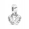 Pandora Charms Kombinované srdcia sestier 799538C01