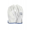ARDON s.r.o. Celokožené rukavice ARDON®INDY - s predajnou etiketou 09 Varianta: 10