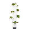 Gusta Garden Sissi Strawberry závesný samozavlažovací kvetináč 4 poschodia, biely GG-100538
