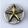 Hviezda ozdoba CONCHO na skrutku WESTERN 32 mm