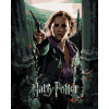 Maľovanie podľa čísel Plagát Harry Potter a relikvie smrti Hermiona, 40x50 cm, bez rámu a bez vypnutia plátna (6066630)