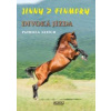 Jinny z Finmory 2 - Divoká jízda - Leitch Patricia