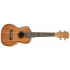 CASCHA HH 2035E Concert Mahogany Ukulele Set EQ