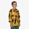 CHAMPION SKATE HOODY B M