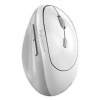 Myš Genius Ergo 8350S (31030041401) sivá/biela