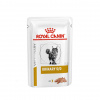 Royal Canin VHN Cat Urinary S/O Loaf Kapsičky 1 x 85 g