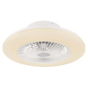 Globo 03628