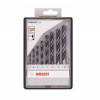Bosch Vrtáky špirálové robust line 2607010533