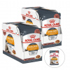 Royal Canin Hair & Skin Care Gravy 24 x 85 g