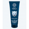 Natura Siberica Arctic Wild Umývací gél 3v1 na vlasy, telo a fúzy Severná sila 200 ml