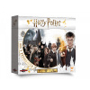 Harry Potter : Rok v Bradavicích