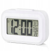 ELEKTRONICKÝ BUDÍK, SIEŤOVÝ BUDÍK, LED ALARM