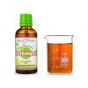 Autoimunol - bylinné kapky (tinktura) - doplněk strav 50 ml