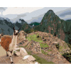 Maľovanie podľa čísel Lama a machu picchu, 80x100 cm, vypnuté plátno na rám (6048743)