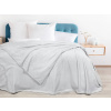 Dreamy Linens Mikroflanelová deka, svetlo sivá