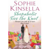 Shopaholic Ties The Knot