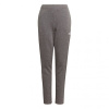 Adidas Tiro 21 Sweat Jr GP8809 pants (67047) 116cm
