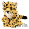 Leopard mládě