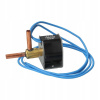 Ventil Danfoss NEV-202DXF so solenoidom (Ventil Danfoss NEV-202DXF so solenoidom)