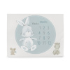CEBA BABY Míľniková podložka na fotenie (92x72) Basic Friends