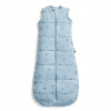 ERGOPOUCH Vak na spanie organická bavlna Jersey Dragonflies - 2,5 tog Variant: 8-24 m, 8-14 kg