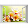 Self -adhézne okno frangipani kvety 90x60 (Self -adhézne okno frangipani kvety 90x60)