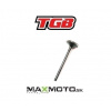 Ventil sací/ výfukový TGB Blade 600/ 1000, Target 600, 910283/ 910284 Prevedenie: Sací ventil