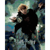 Maľovanie podľa čísel Plagát Harry Potter a relikvie smrti Ron, 40x50 cm, vypnuté plátno na rám (6066641)