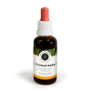 Inca Botanica FLORAPIEDRA