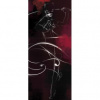 Dverová fototapeta - FT3998 - Catwoman 91cm x 211cm - Vliesová fototapeta