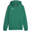 Puma Team Goal Casuals Hoddy Jr sweatshirt 658619 05 (191574) Black 128cm