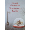 Stichwort: Liebe (David Grossman,Judith Brüll)(Pevná)