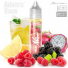 Příchuť Adams Vape Shake and Vape 10ml Něco CHLADIVÝHO