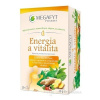 MEGAFYT Energia a vitalita bylinný čaj 20 sáčkov