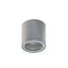 Azzardo AZ3316 Vonkajšie stropné svietidlo bright grey