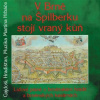 V Brne na Špilberku stojí vraný kôň - Martin Hrbáč CD