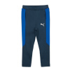 Puma Tepláky/Vrchné oblečenie EVOSTRIPE PANT Modrá