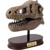 Buki Vykopávky pre deti - Lebka T-Rex