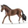 Schleich 13909 Valach trakehnerský